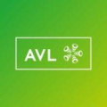 AVL Software and Functions